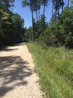 Parcel B Brook Forest Road Abita Springs, LA 70420 - Photo 3 of 3 Gallery Image 3