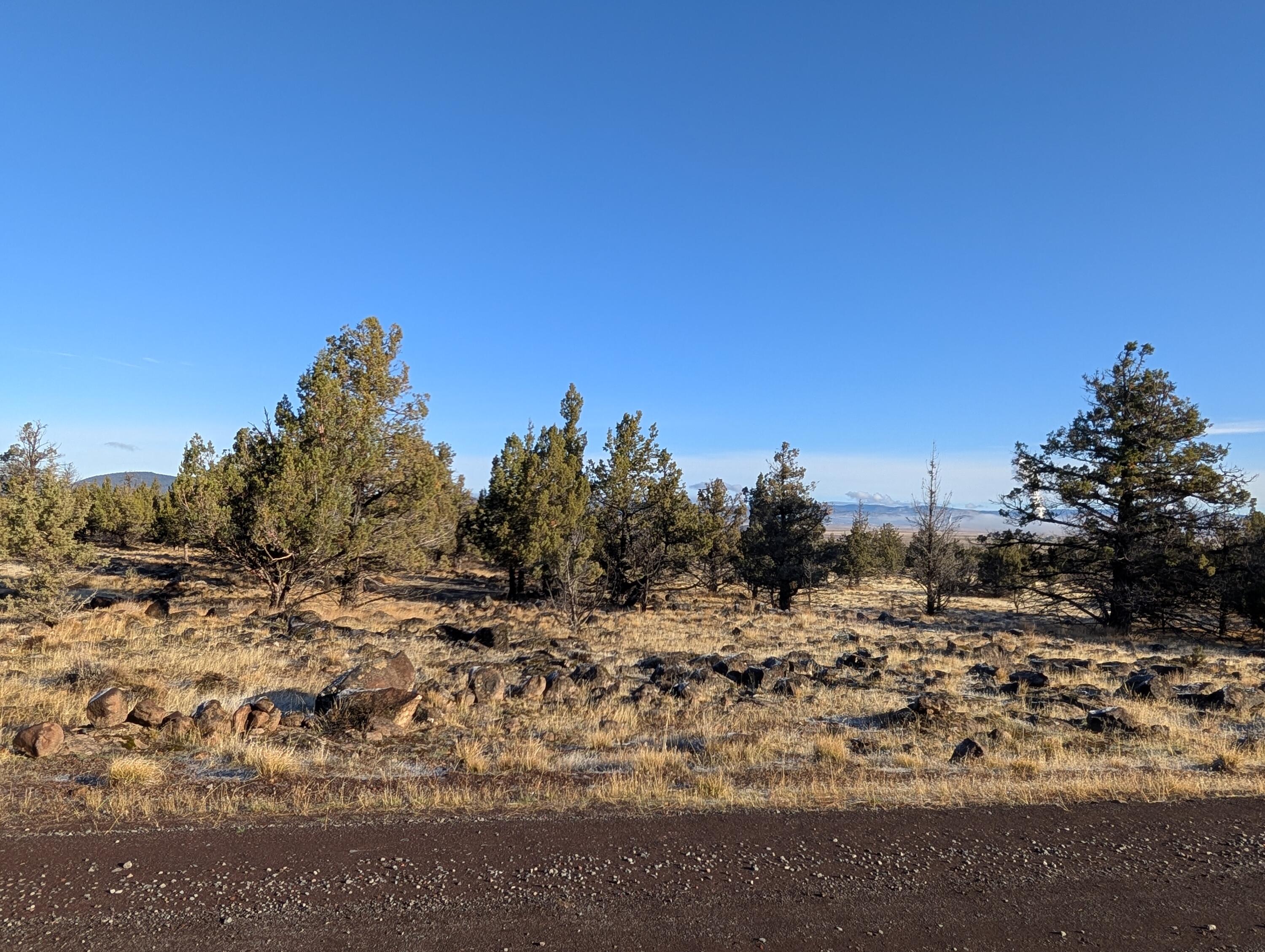 Cedar Trail Klamath Falls, OR 97603 - Photo 23 of 24 PXL_20251027_163010459