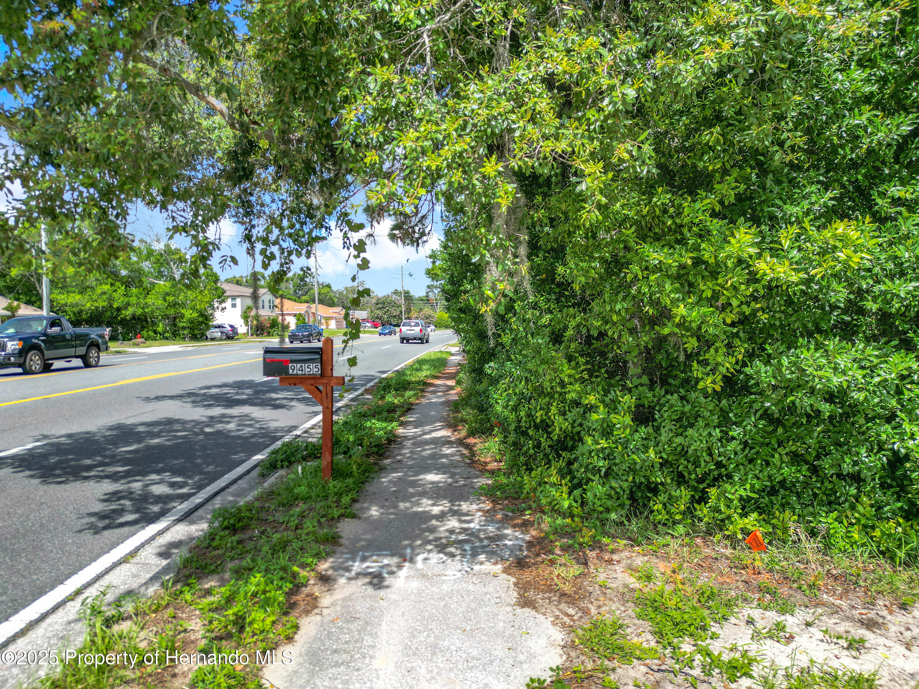 0 Spring Hill Drive Spring Hill, FL 34608 - Photo 9 of 20