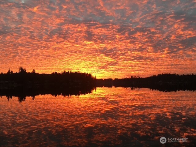 21 Shore Court Grapeview, WA 98546 - Photo 2 of 34 a view of an ocean