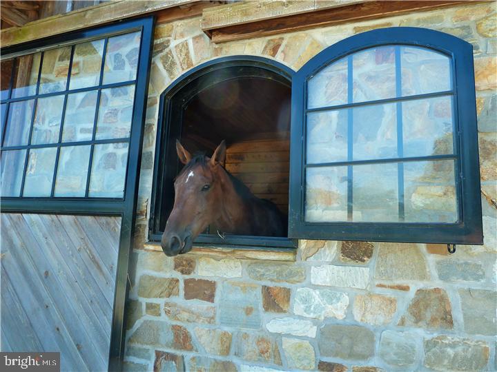 34 Gibble Road Cochranville, PA 19330 - Photo 9 of 25