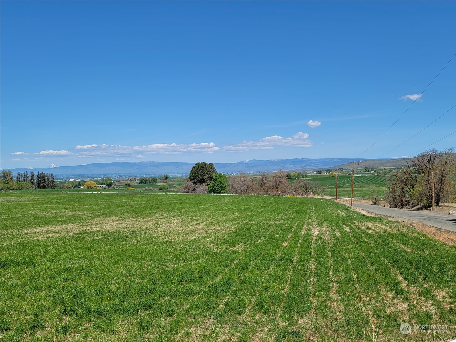 531 WPA Road Ellensburg, WA 98926 - Photo 3 of 8 Gallery Image 3