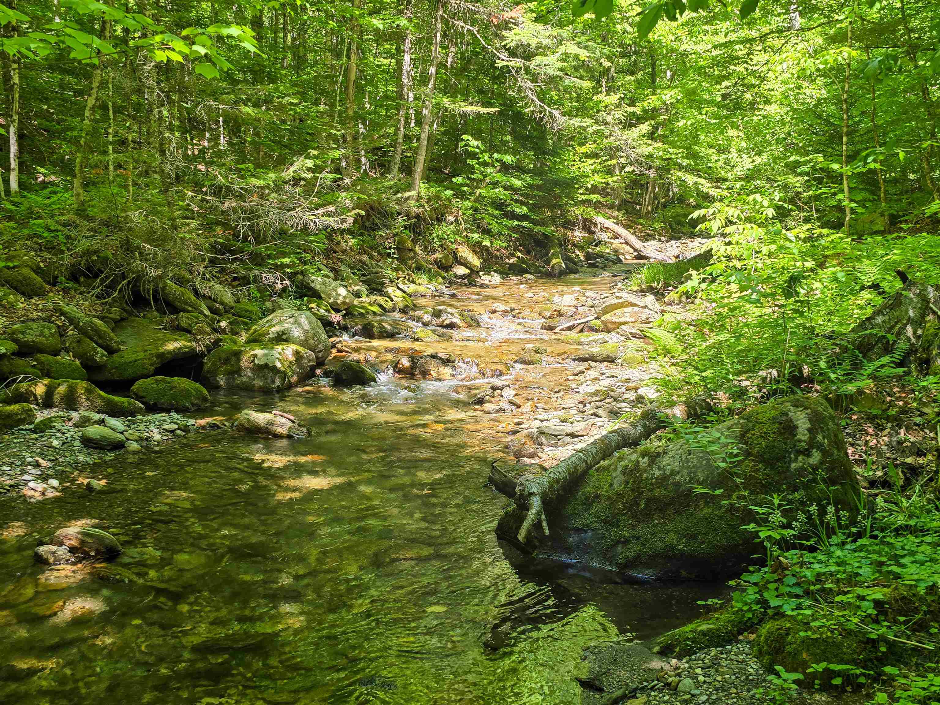 625 French Settlement Road Lincoln, VT 05443 - Photo 5 of 25