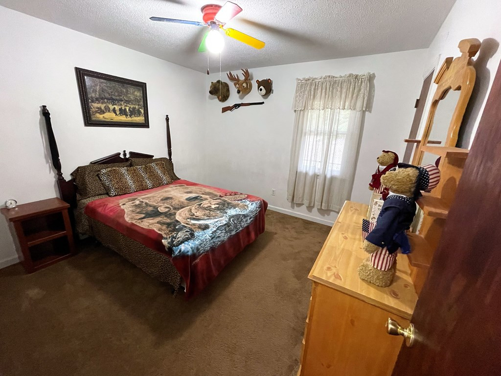 551 Whittle Pond Road Williston, SC 29853 - Photo 21 of 37