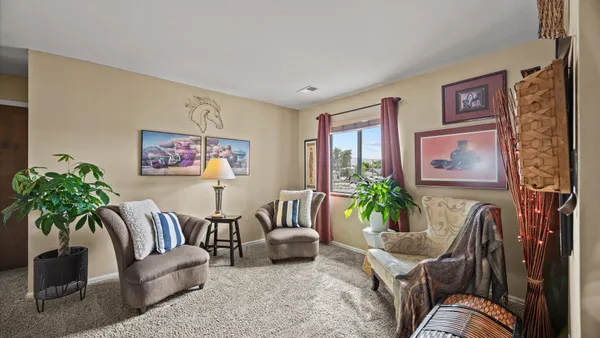 a living room with furniture or couch and a potted plant