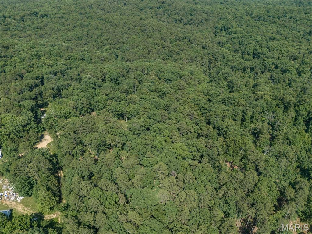 10130 Fish Hook Road Potosi, MO 63664 - Photo 27 of 29