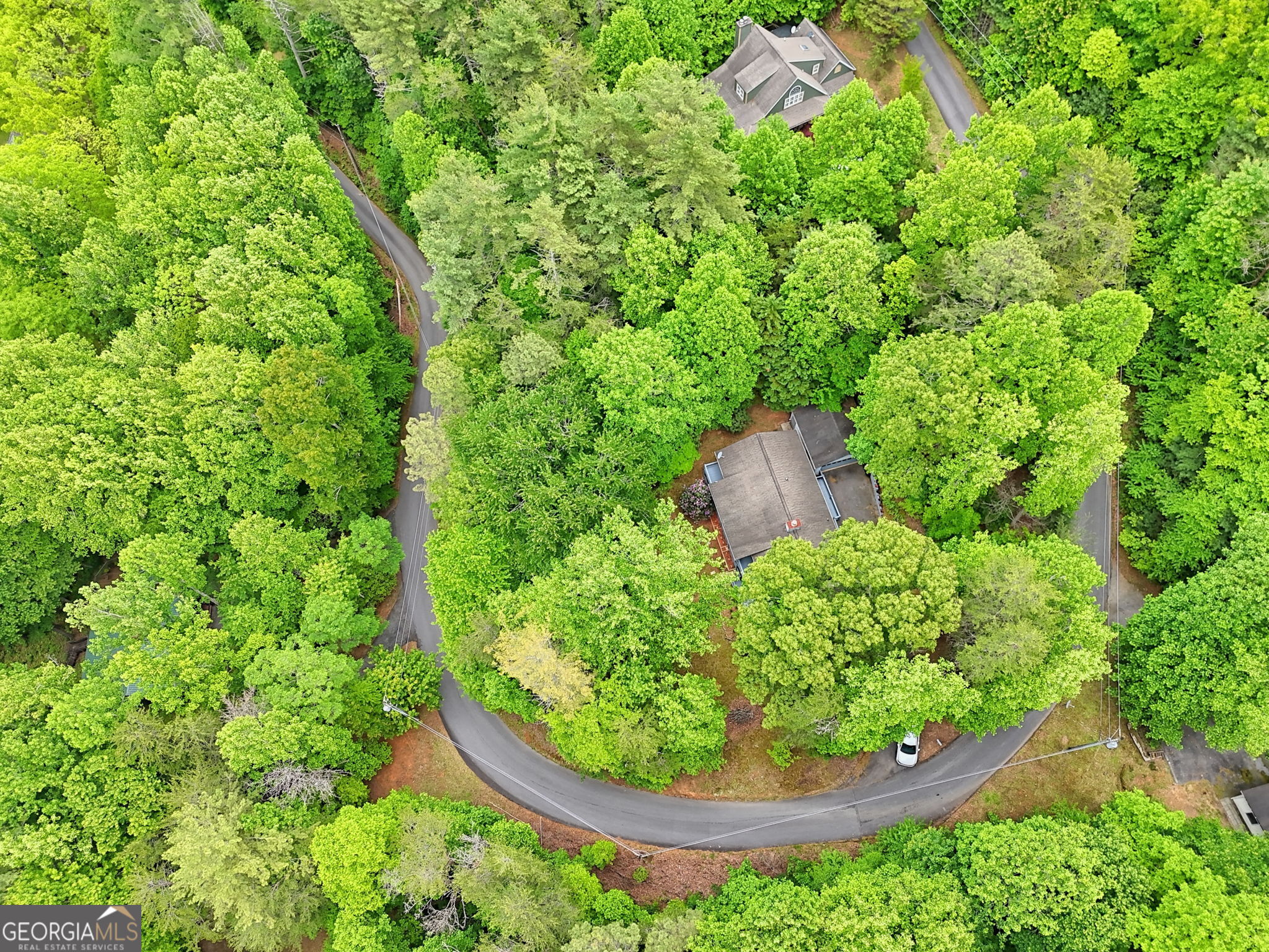 325 Walnut Mountain Road Rabun Gap, GA 30568 - Photo 36 of 38 a view of a garden