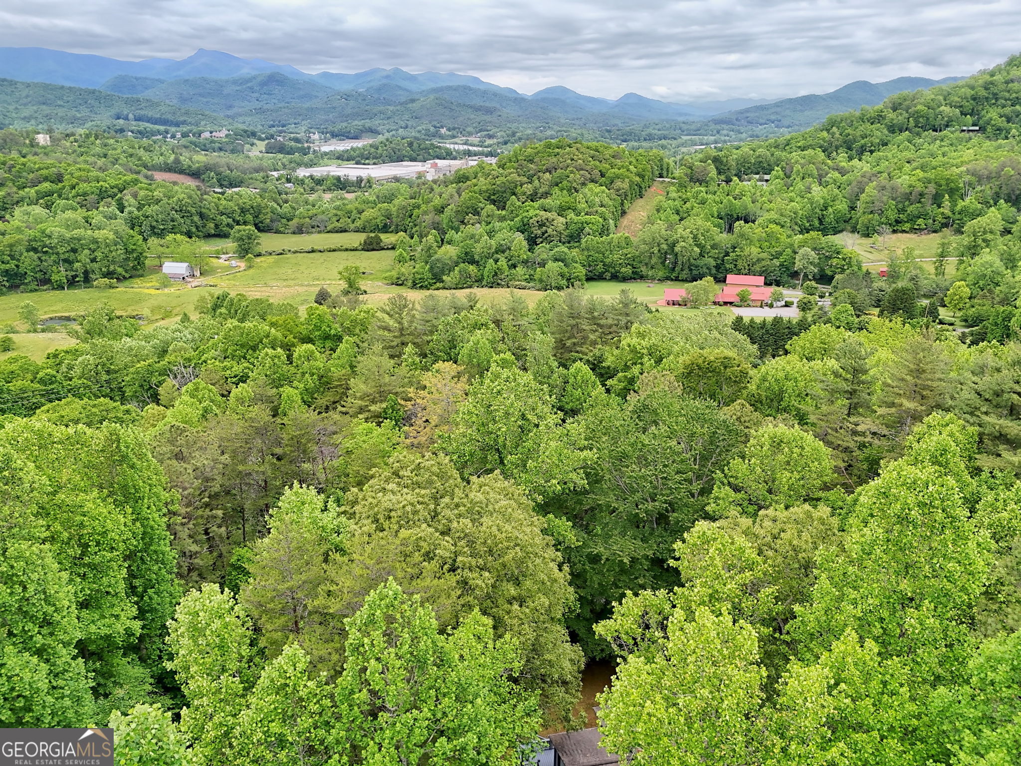 325 Walnut Mountain Road Rabun Gap, GA 30568 - Photo 38 of 38 a view of a lush green forest with trees and some houses