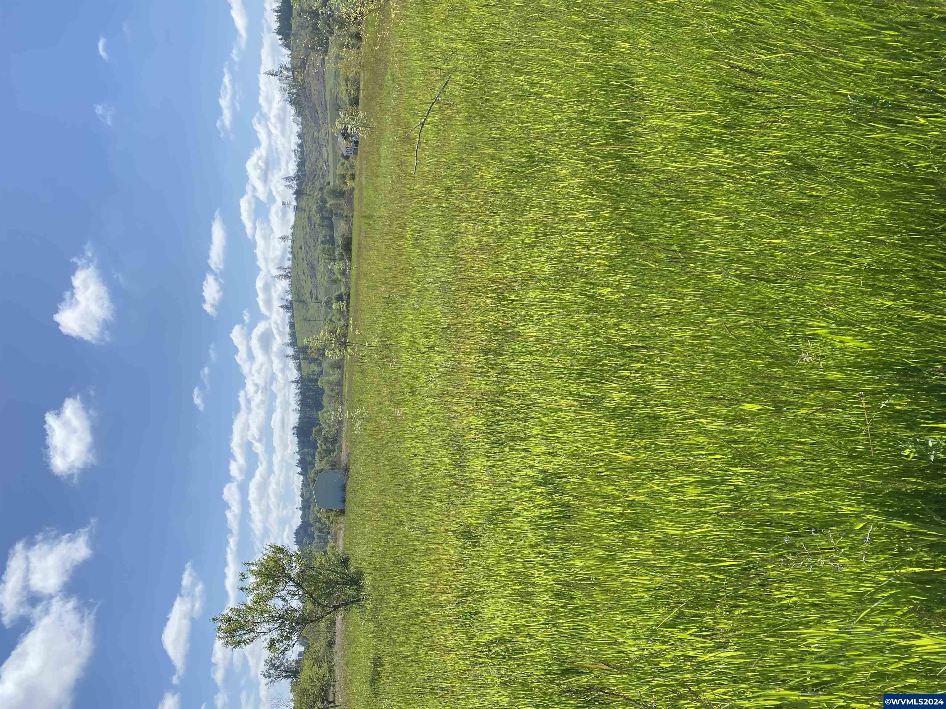99 W Highway Corvallis, OR 97330 - Photo 11 of 12