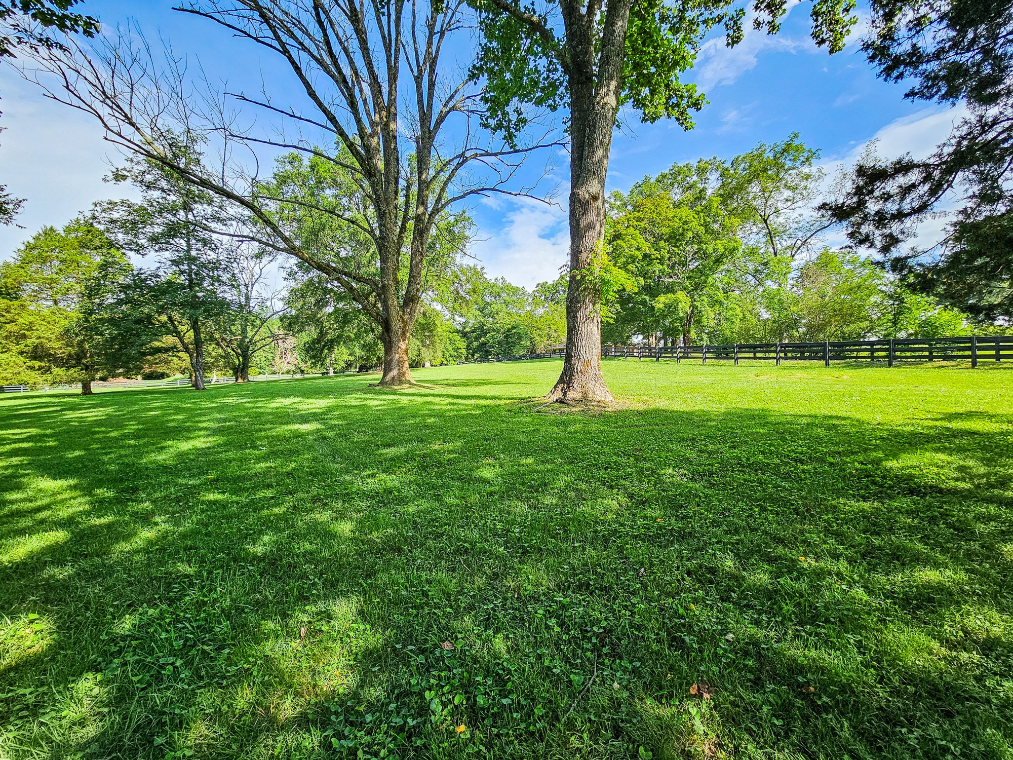 4623 Lebanon Road Murfreesboro, TN 37129 - Photo 11 of 80 Gallery Image 11