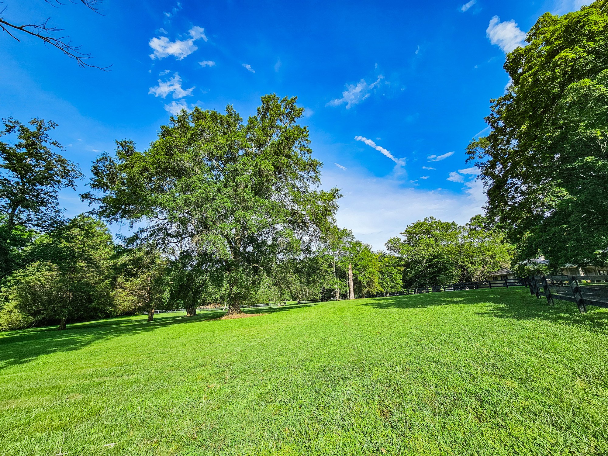 4623 Lebanon Road Murfreesboro, TN 37129 - Photo 13 of 80 Gallery Image 13