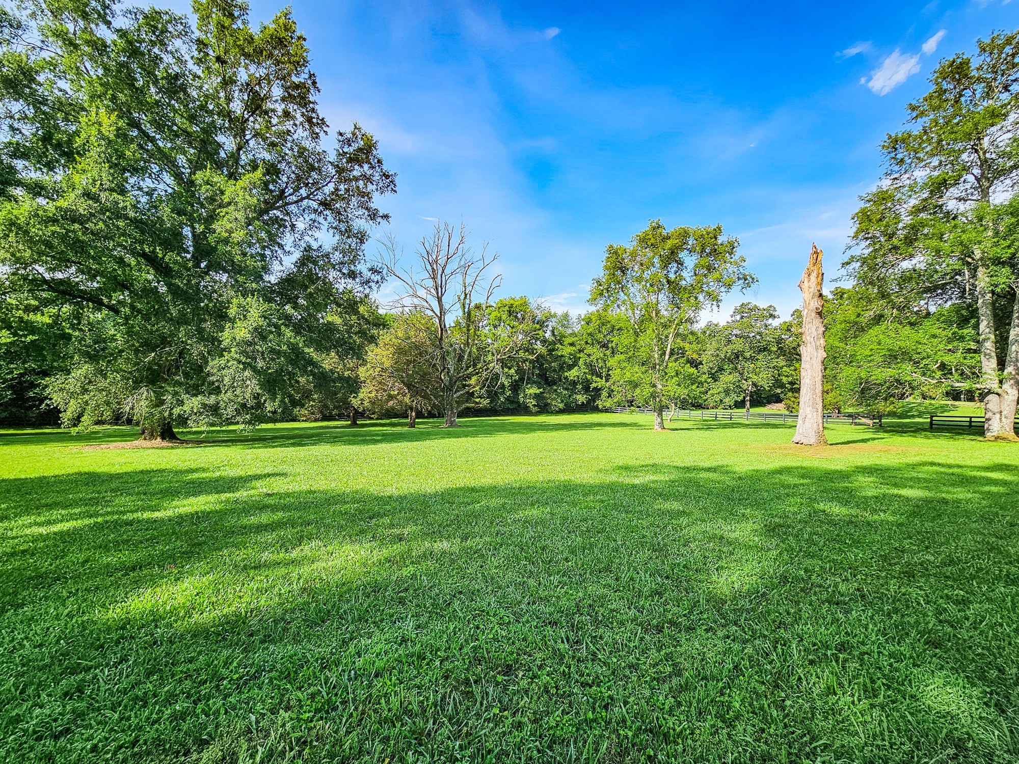 4623 Lebanon Road Murfreesboro, TN 37129 - Photo 15 of 80 Gallery Image 15