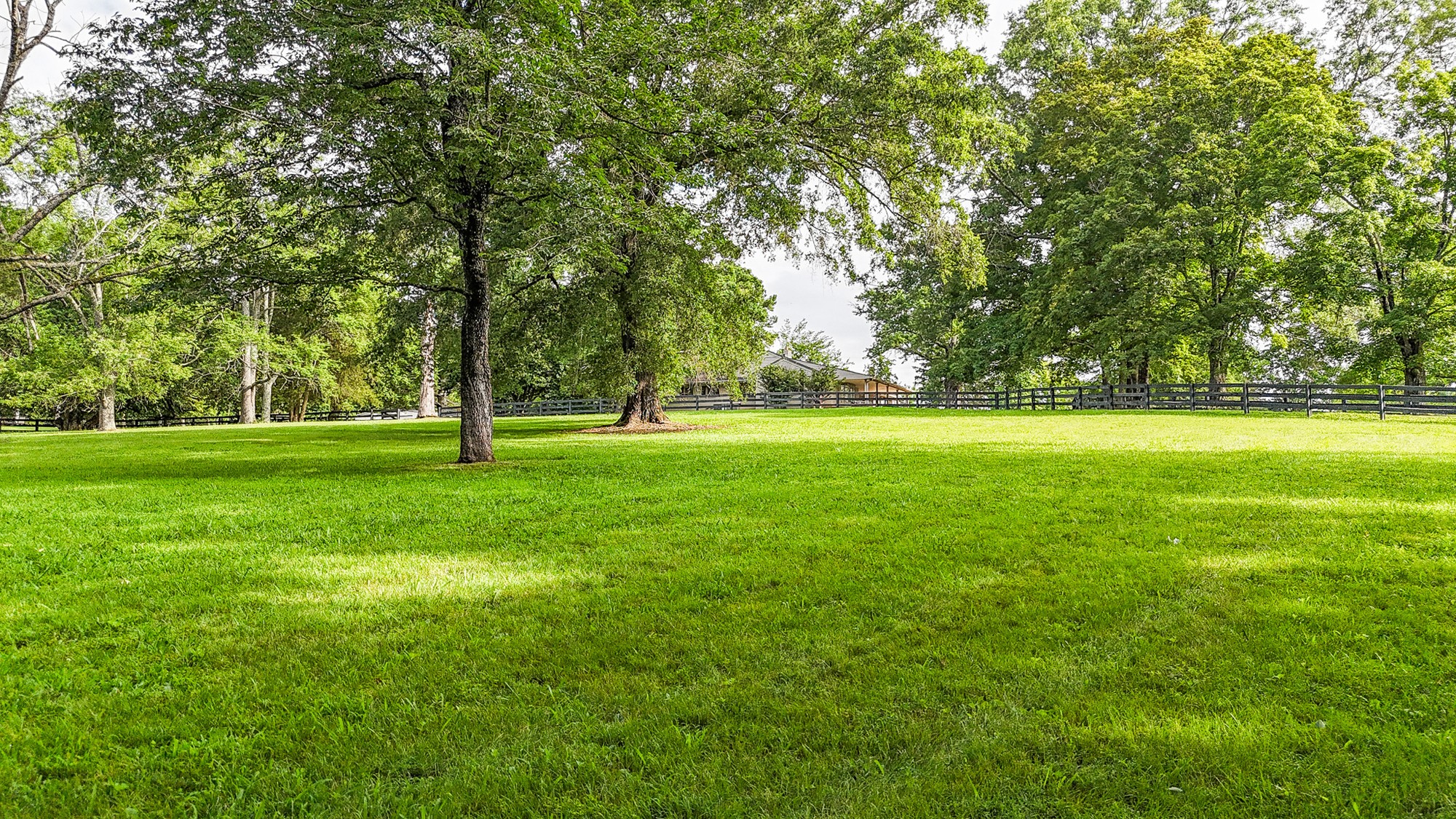 4623 Lebanon Road Murfreesboro, TN 37129 - Photo 54 of 80 Gallery Image 54
