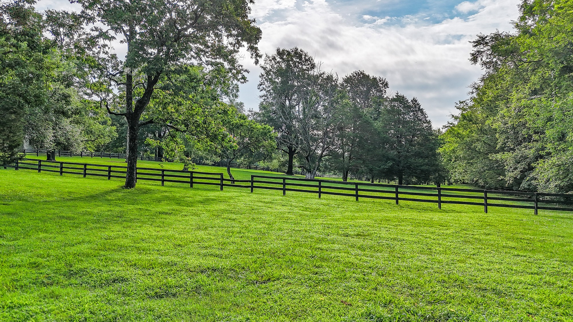 4623 Lebanon Road Murfreesboro, TN 37129 - Photo 60 of 80 Gallery Image 60