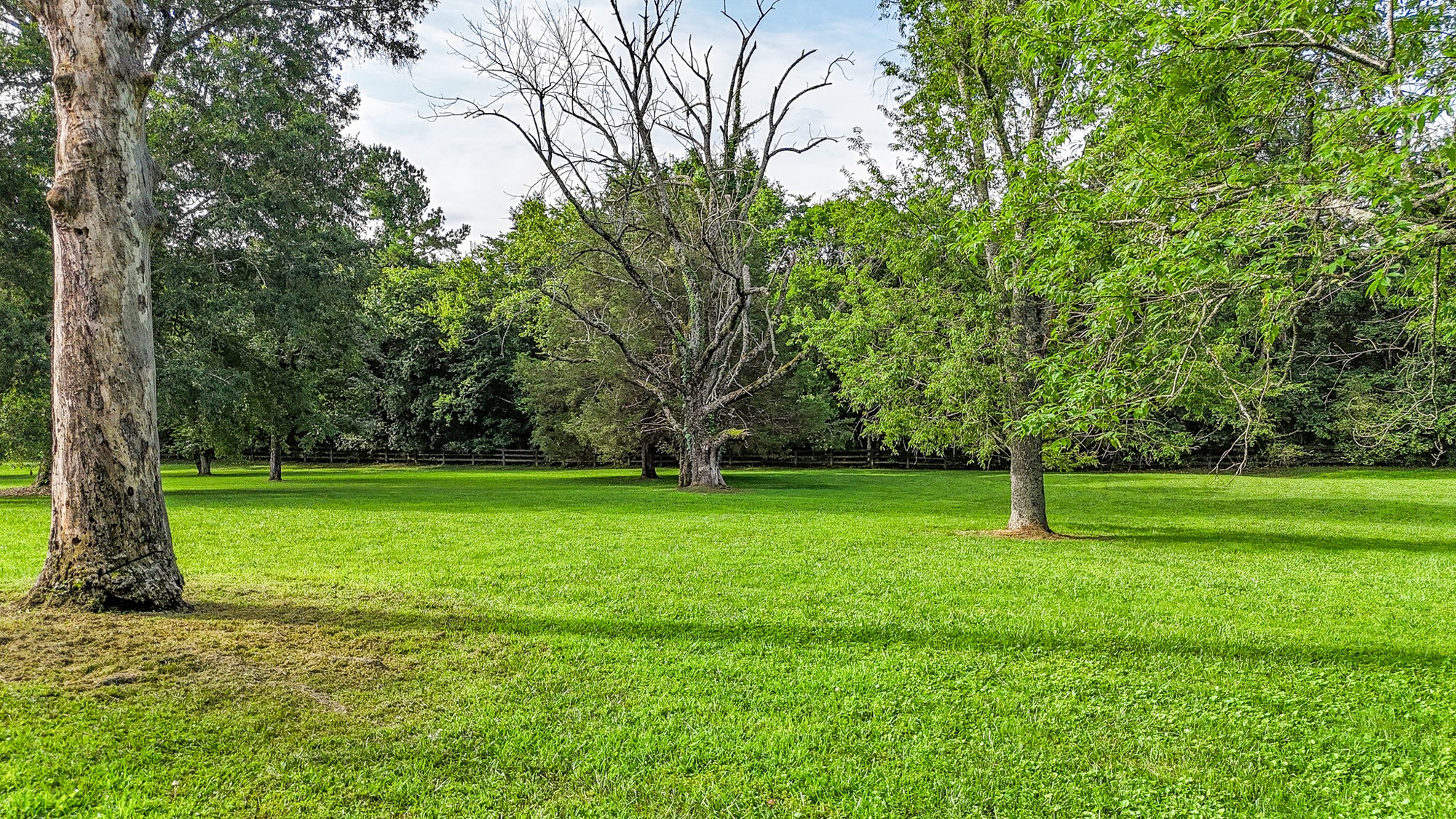 4623 Lebanon Road Murfreesboro, TN 37129 - Photo 61 of 80 Gallery Image 61