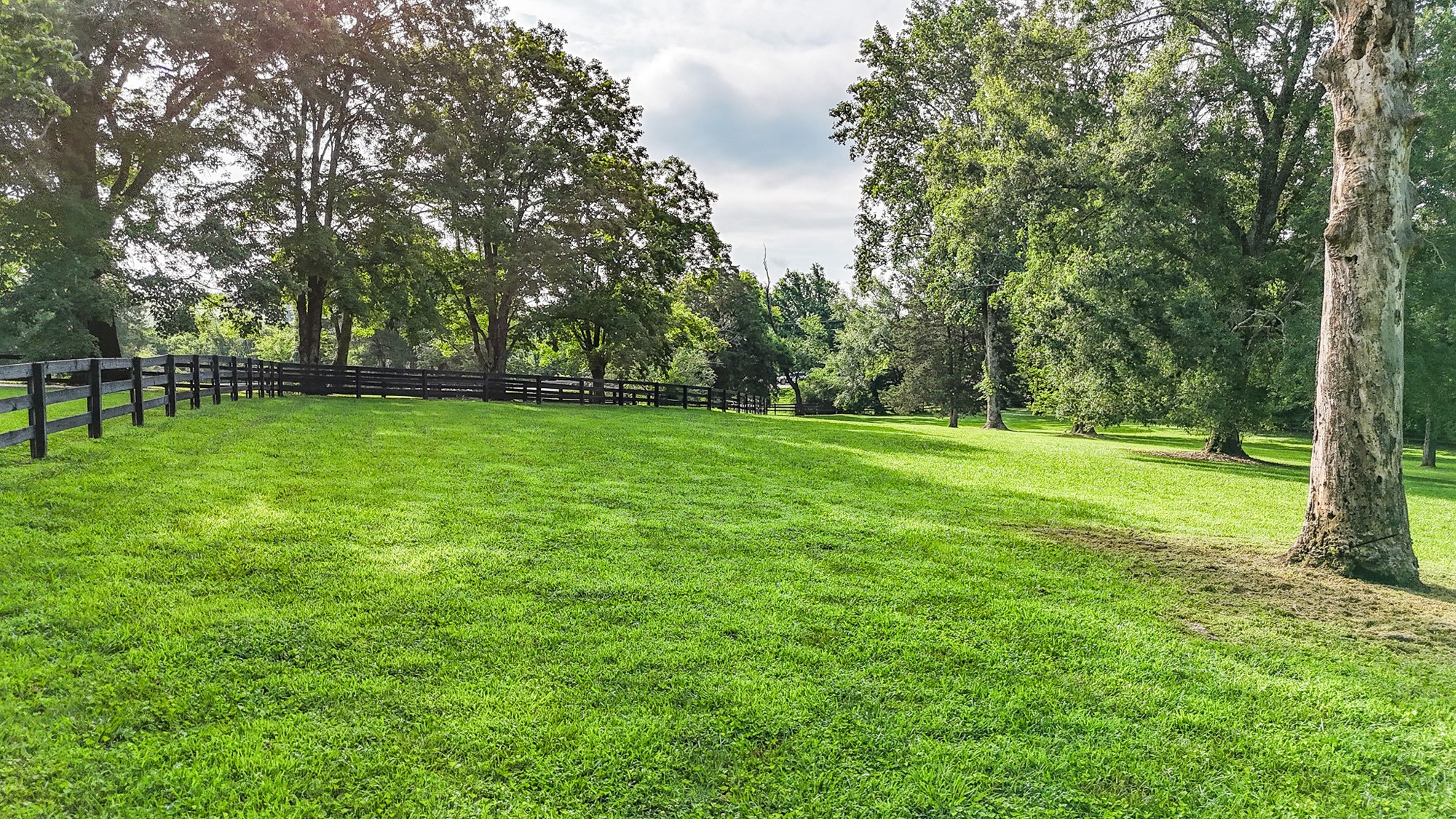 4623 Lebanon Road Murfreesboro, TN 37129 - Photo 63 of 80 Gallery Image 63