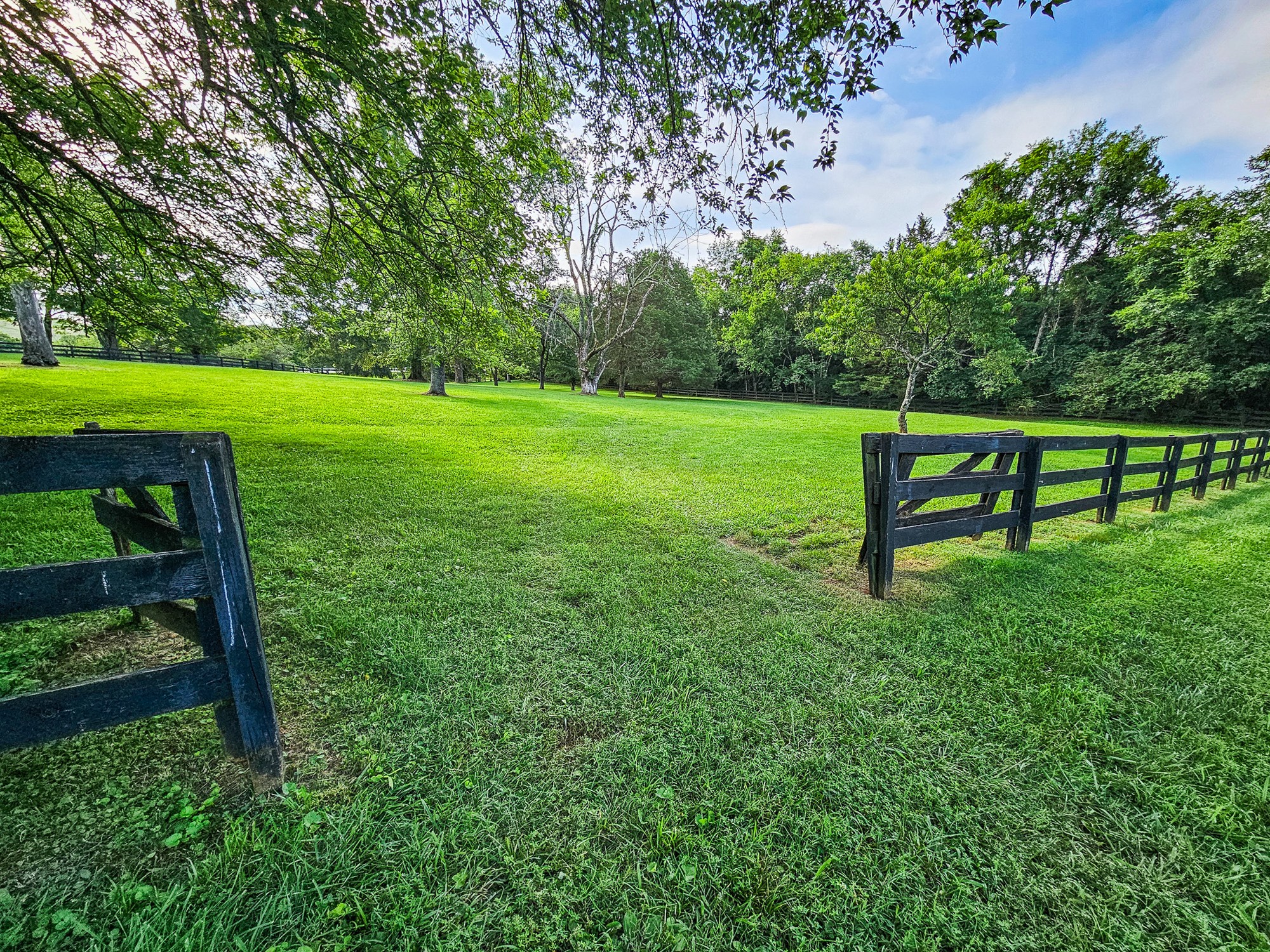 4623 Lebanon Road Murfreesboro, TN 37129 - Photo 7 of 80 Gallery Image 7