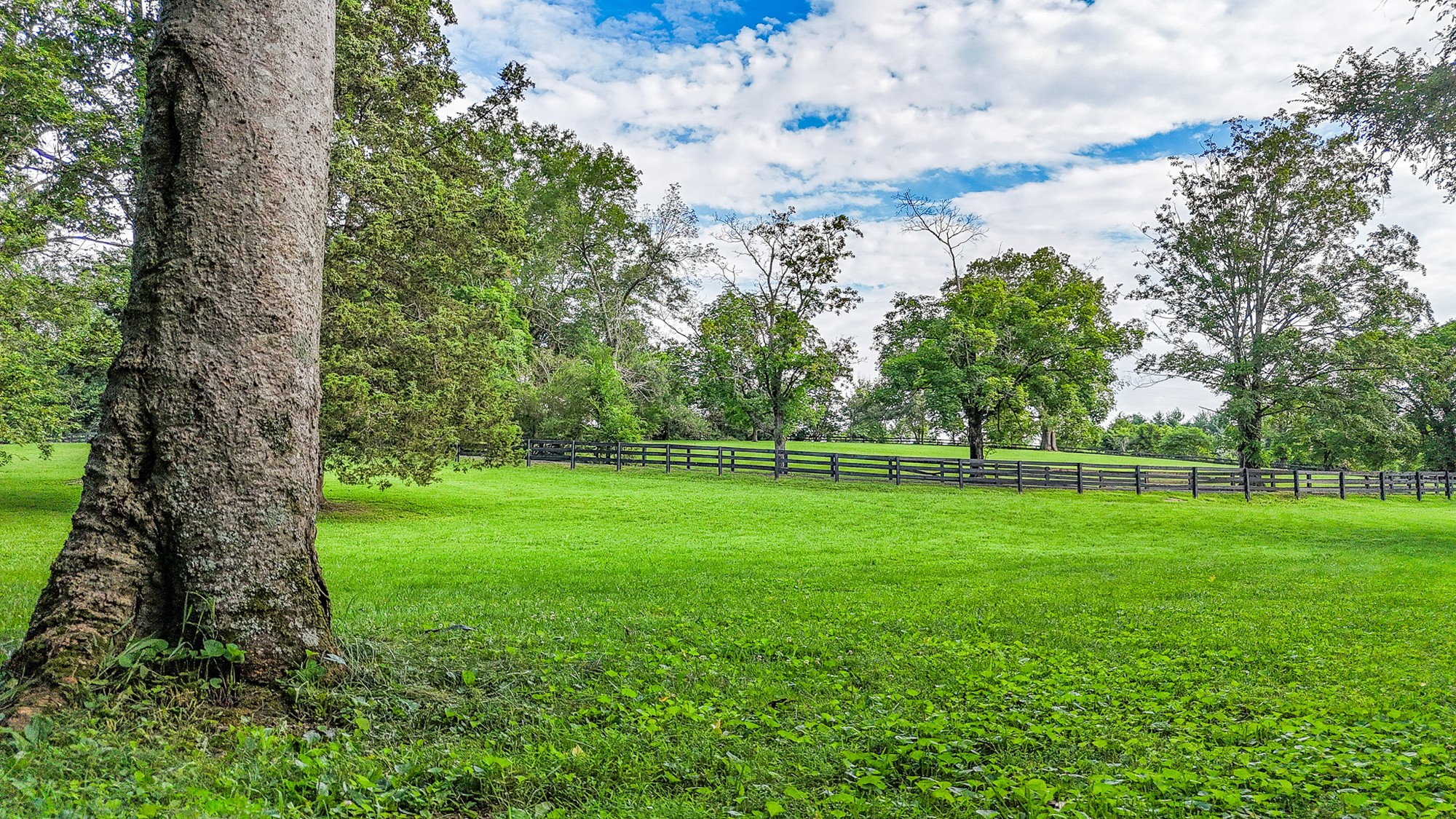 4623 Lebanon Road Murfreesboro, TN 37129 - Photo 73 of 80 Gallery Image 73