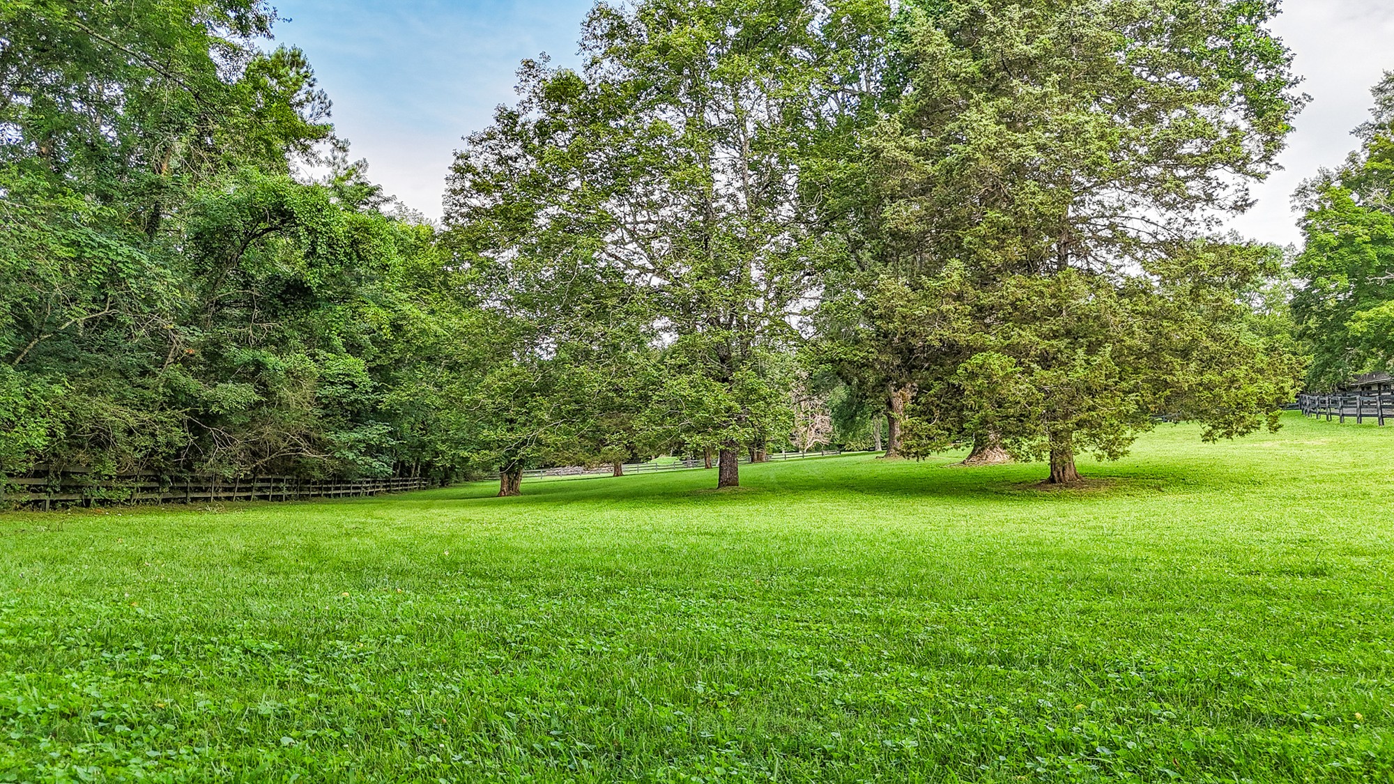 4623 Lebanon Road Murfreesboro, TN 37129 - Photo 74 of 80 Gallery Image 74