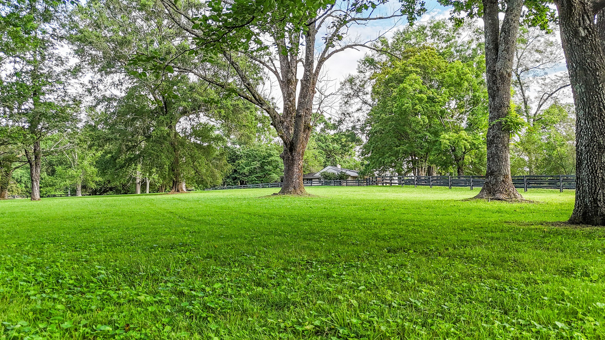 4623 Lebanon Road Murfreesboro, TN 37129 - Photo 75 of 80 Gallery Image 75