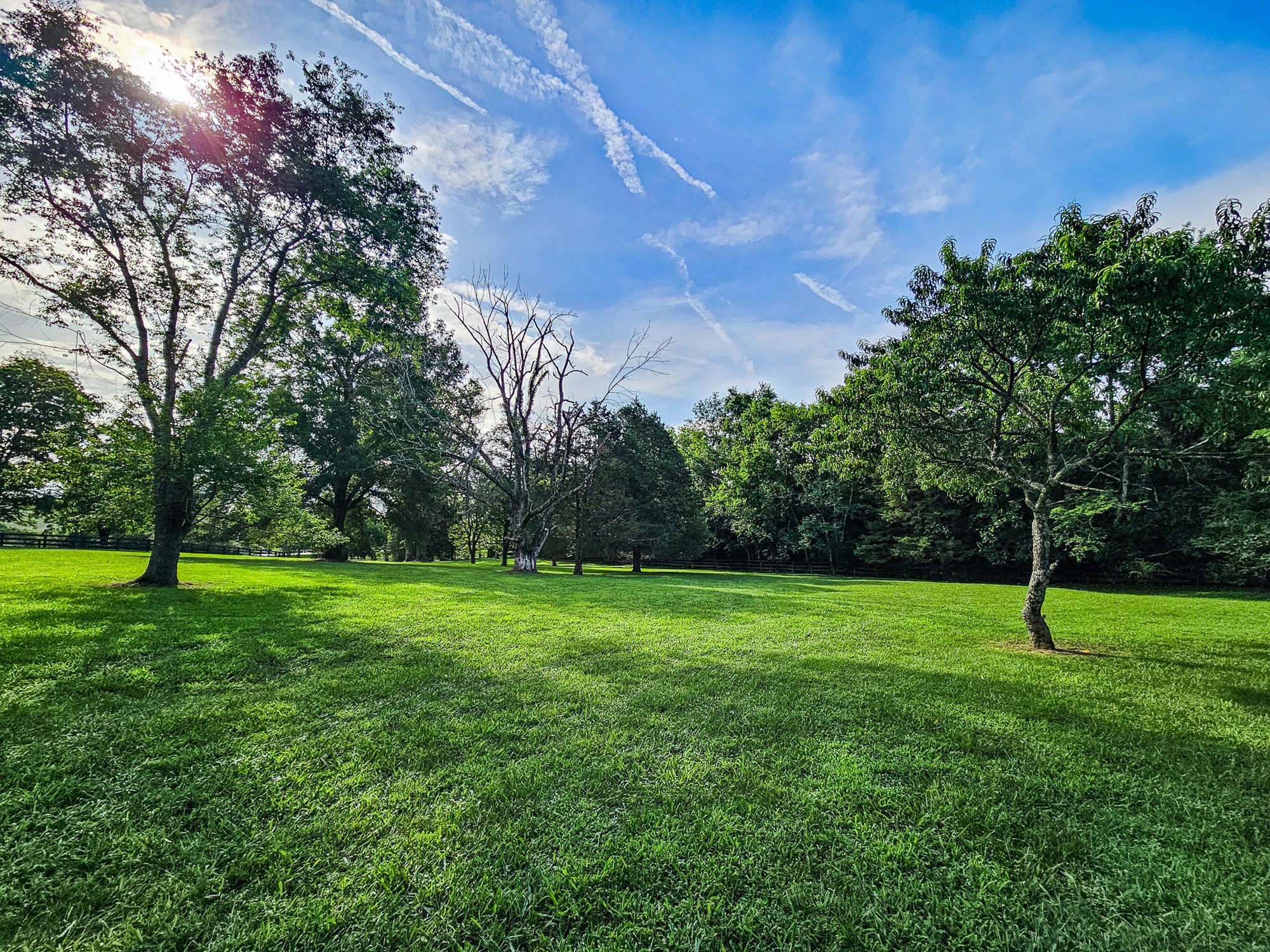 4623 Lebanon Road Murfreesboro, TN 37129 - Photo 8 of 80 Gallery Image 8