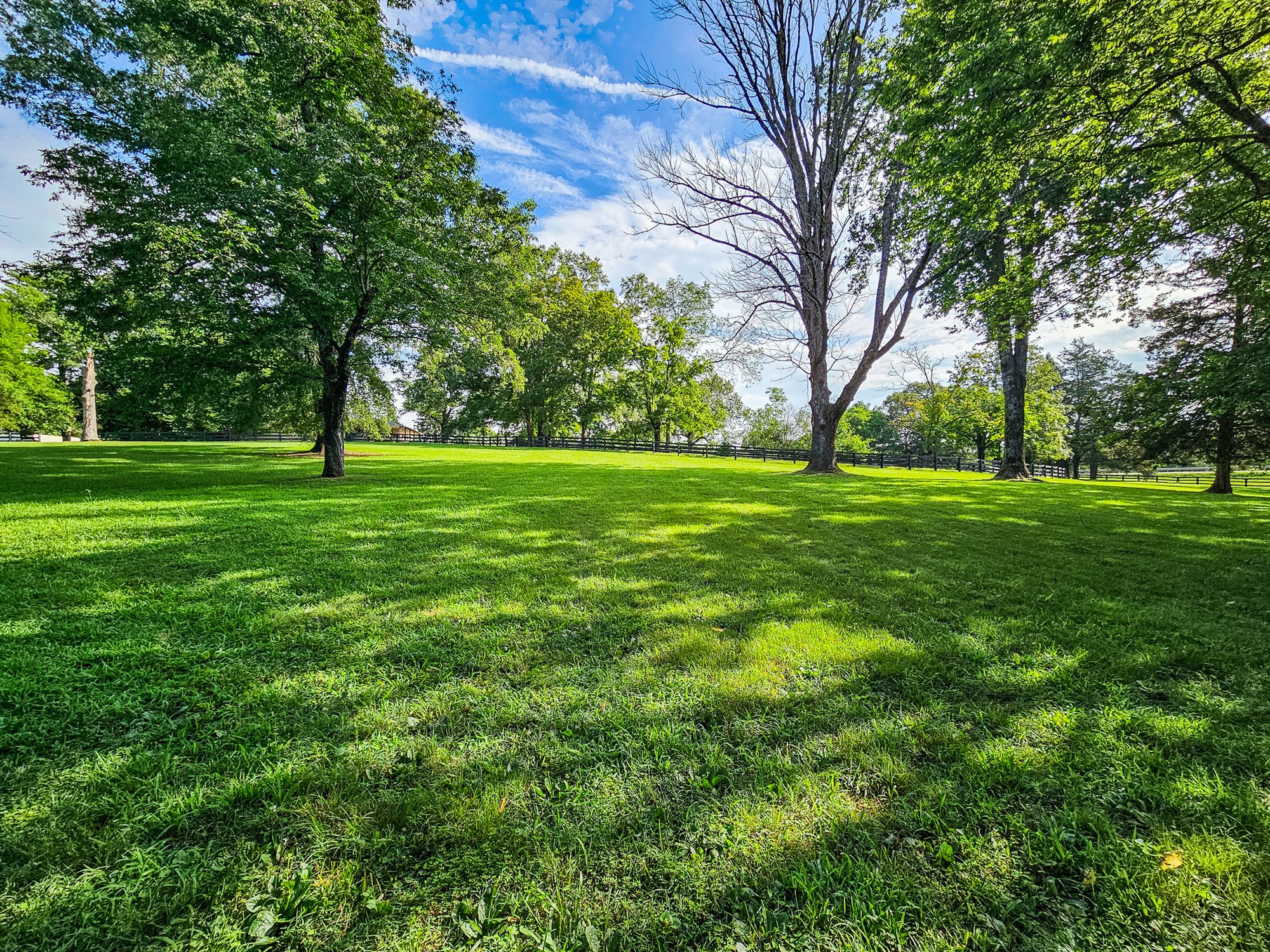 4623 Lebanon Road Murfreesboro, TN 37129 - Photo 10 of 80 Gallery Image 10