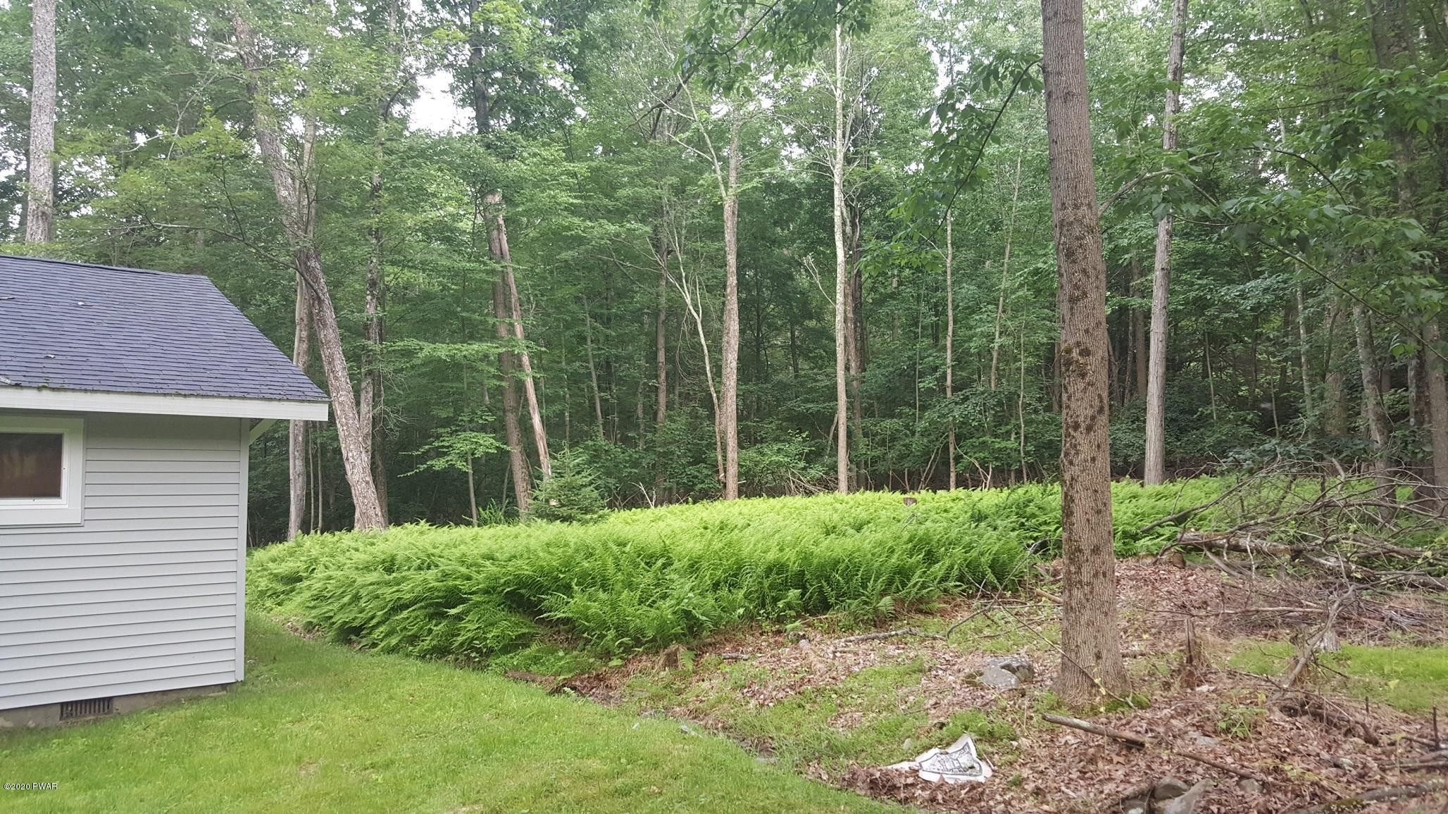 107 Meadowbrook Road Tafton, PA 18464 - Photo 6 of 55 Back