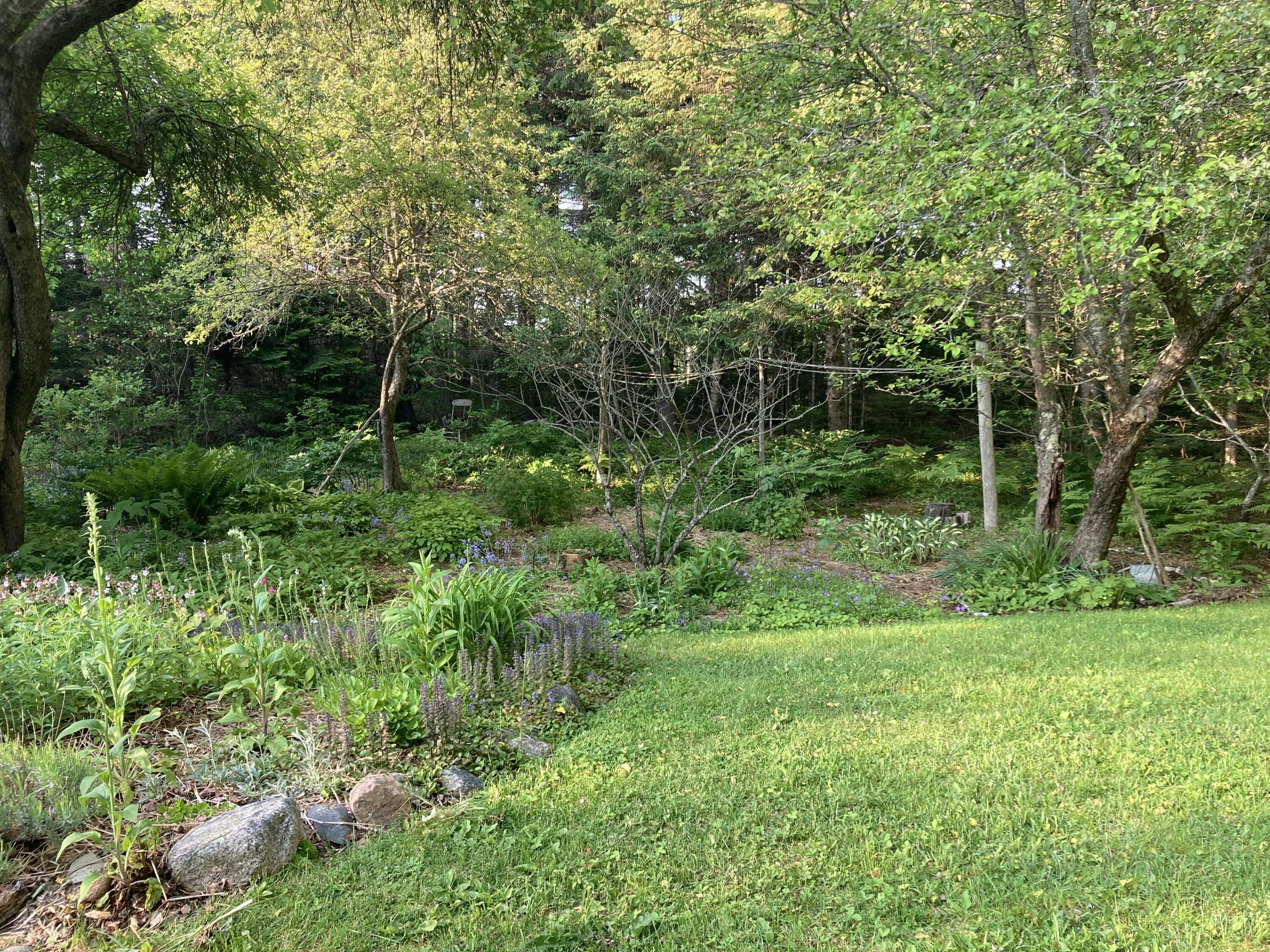 12 Bakers Point Road Steuben, ME 04680 - Photo 81 of 86 Yard area.
