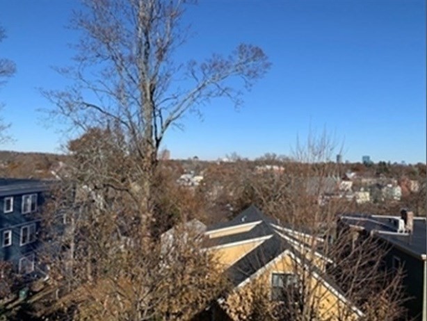 59 St Rose Street, Unit 3 Boston, MA 02130 - Photo 8 of 8 a view of a house with a yard