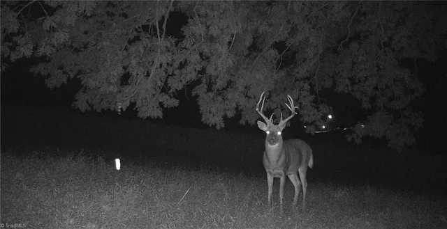 $721,354 | 0 Stewart Road, Ruffin, NC 27326