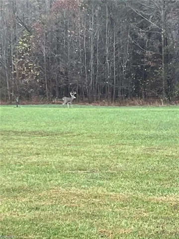 $721,354 | 0 Stewart Road, Ruffin, NC 27326