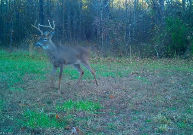 $721,354 | 0 Stewart Road, Ruffin, NC 27326