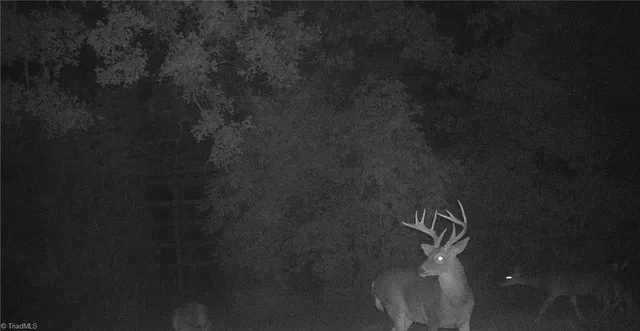 $721,354 | 0 Stewart Road, Ruffin, NC 27326