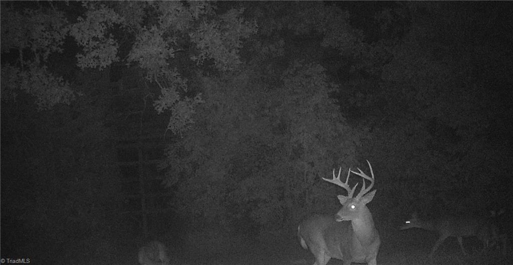 0 Stewart Road Ruffin, NC 27326 - Photo 18 of 50