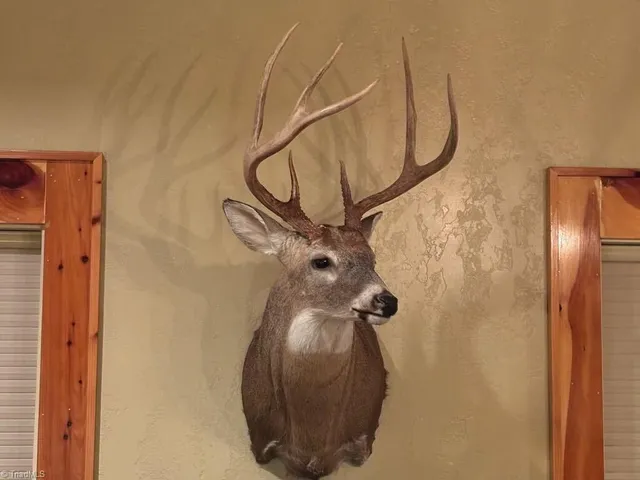 $721,354 | 0 Stewart Road, Ruffin, NC 27326