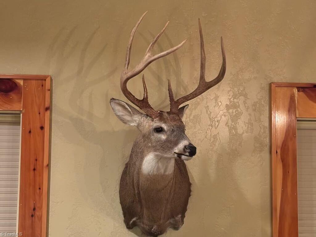 0 Stewart Road Ruffin, NC 27326 - Photo 20 of 50