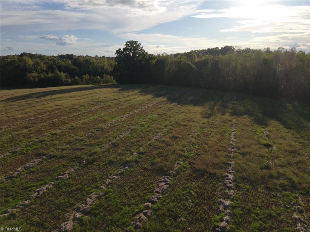 0 Stewart Road Ruffin, NC 27326 - Photo 21 of 50