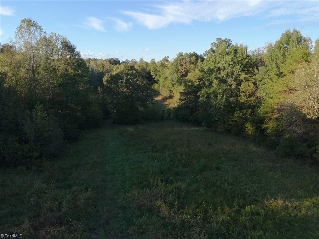 0 Stewart Road Ruffin, NC 27326 - Photo 28 of 50