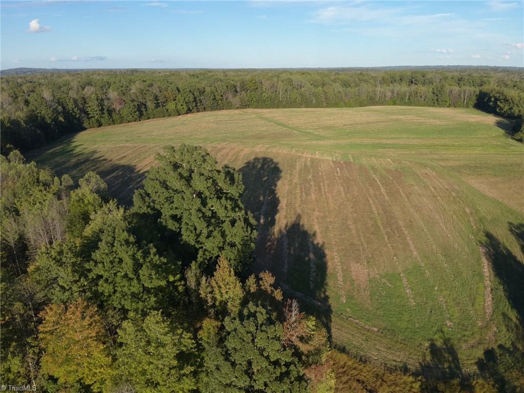 0 Stewart Road Ruffin, NC 27326 - Photo 31 of 50