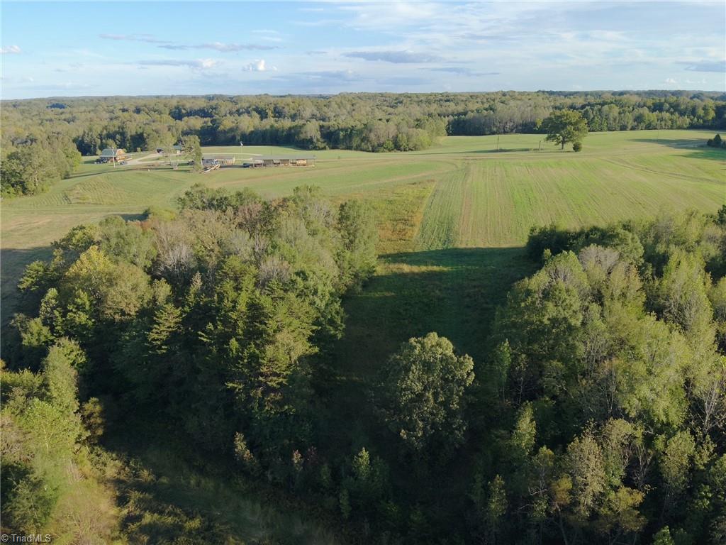 0 Stewart Road Ruffin, NC 27326 - Photo 32 of 50