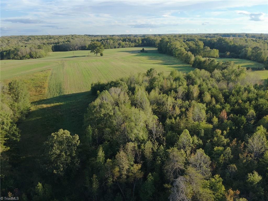 0 Stewart Road Ruffin, NC 27326 - Photo 33 of 50