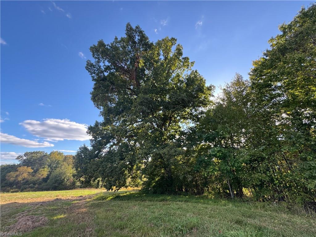 0 Stewart Road Ruffin, NC 27326 - Photo 39 of 50