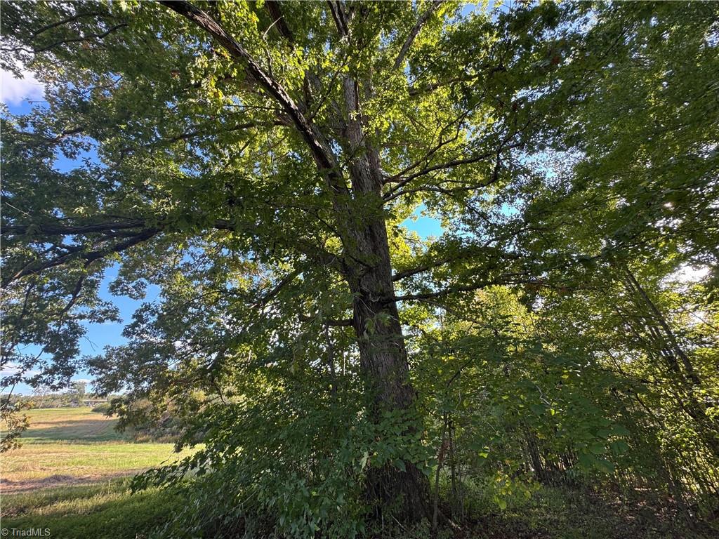 0 Stewart Road Ruffin, NC 27326 - Photo 40 of 50