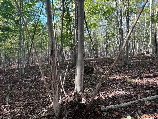 $721,354 | 0 Stewart Road, Ruffin, NC 27326