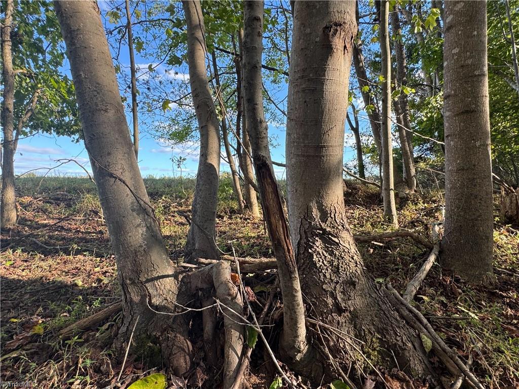 0 Stewart Road Ruffin, NC 27326 - Photo 42 of 50