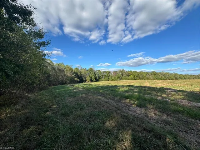 $721,354 | 0 Stewart Road, Ruffin, NC 27326