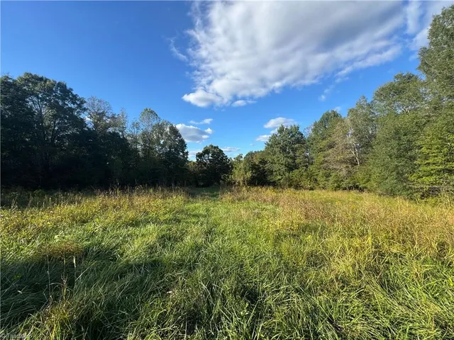 $721,354 | 0 Stewart Road, Ruffin, NC 27326