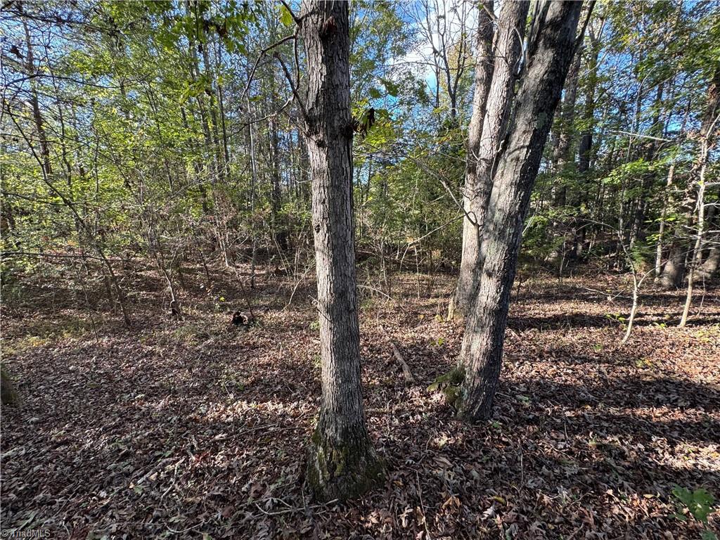 0 Stewart Road Ruffin, NC 27326 - Photo 46 of 50