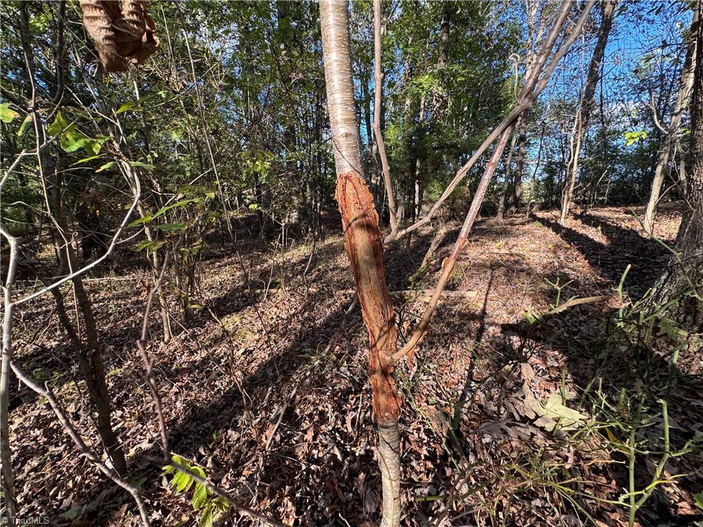 0 Stewart Road Ruffin, NC 27326 - Photo 47 of 50