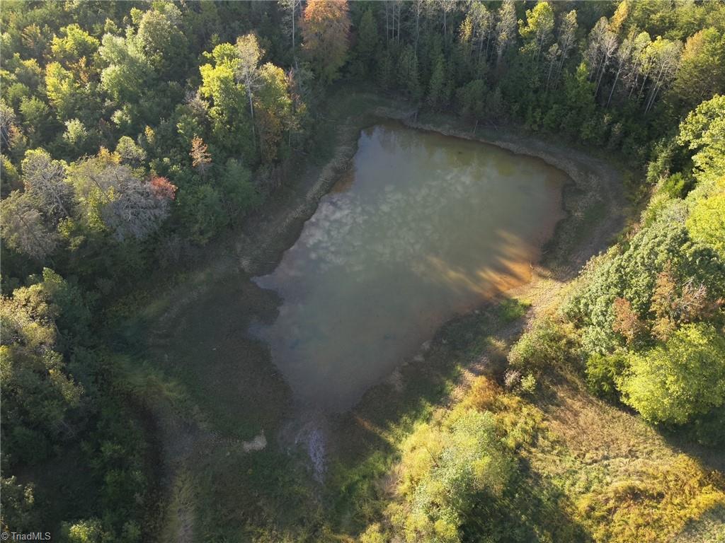 0 Stewart Road Ruffin, NC 27326 - Photo 5 of 50